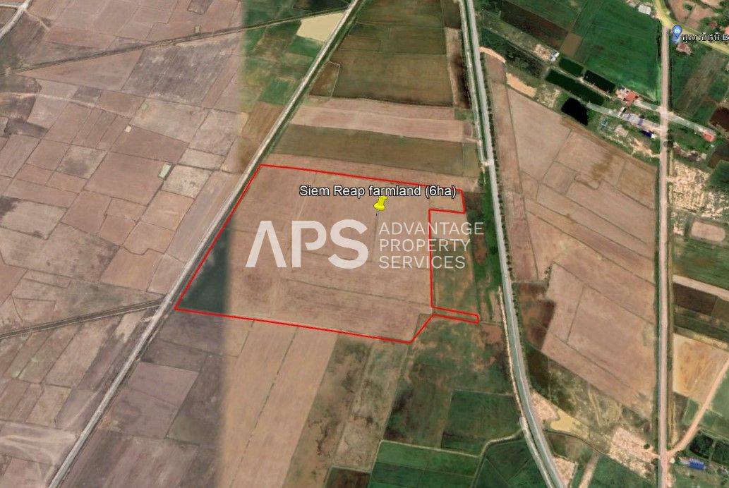 6 Hectare Land For Sale | Siem Reap