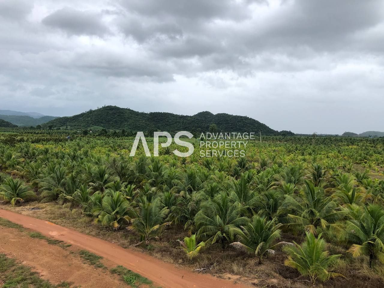 760 Hectare Land and Farm for Sale | Kampot