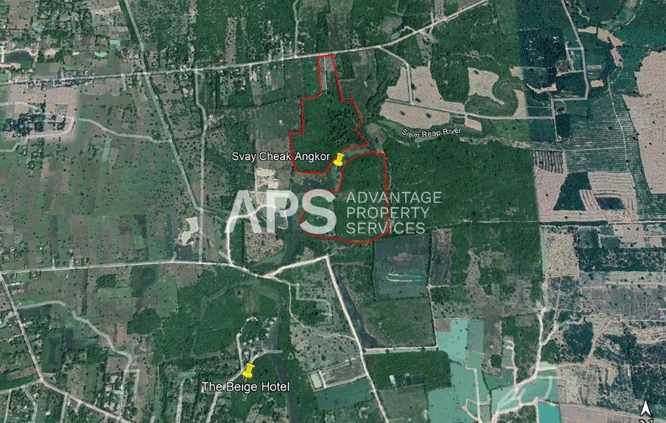 15.5 Hectare Land for Sale | Svay Chek Angkor | Siem Reap